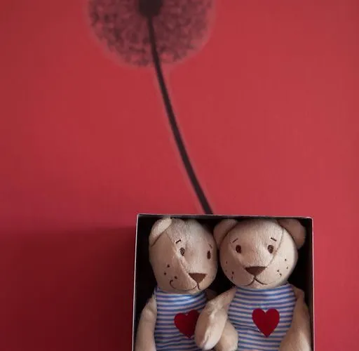 Auberge de jeunesse Graca 28 *